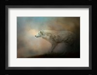 Journey Of The Timber Wolf Fine Art Print