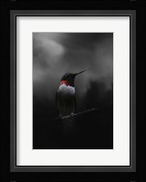 Waiting In The Darkness Fine Art Print