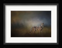Coyote At Shiloh Fine Art Print