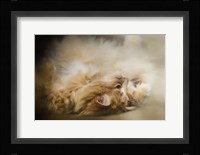 Upside Down Fine Art Print