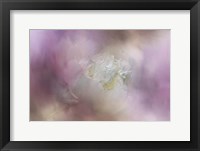 White Peony 2 Fine Art Print