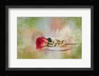 Christmas Rose Fine Art Print
