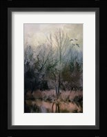 Morning At Fairground Swamp Fine Art Print