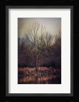 Warm Winter Peace Fine Art Print