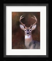 Eight Point In Autumn Fine Art Print