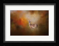 Illuminated By The Autumn Light Fine Art Print