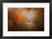 Illuminated By The Autumn Light Fine Art Print