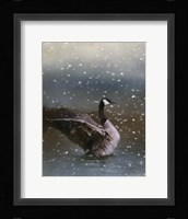Snowy Swim Fine Art Print