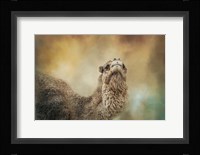 The Scent Of Fall Fine Art Print