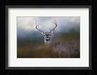Big Boy Fine Art Print