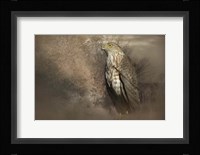 Patiently Waiting Framed Print