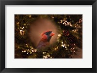 Resting In The Wreath Fine Art Print