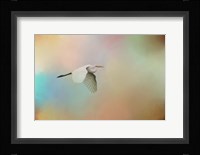 Silent Beauty Framed Print