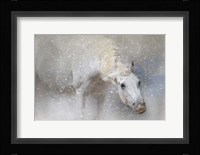Snow Tickle Fine Art Print