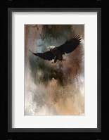 Winter Eagle 1 Framed Print