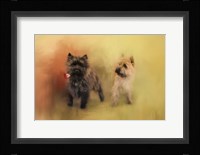 A Rose For My Love Fine Art Print