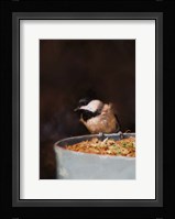 Hanging On The Edge Fine Art Print