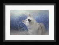 My Favorite Thing About Winter Framed Print