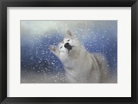 My Favorite Thing About Winter Framed Print