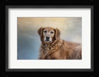 The Older I Get Fine Art Print