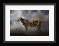 Waiting In The Light Fine Art Print