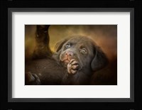 Welcoming The Sun Fine Art Print