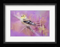 Abstract Goldfinch Fine Art Print
