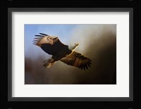 The Light Fine Art Print