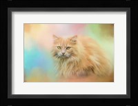 Waiting for Birds Fine Art Print