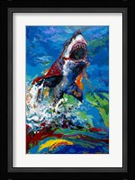 The Lawyer Breeching Great White Shark Fine Art Print
