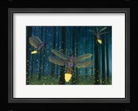 Night Light Flight Fine Art Print