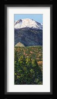 Pike's Peak in Summer Fine Art Print