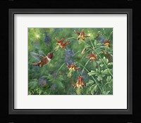 Rufous Hummingbird Fine Art Print