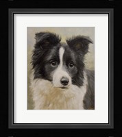 Say What Fine Art Print