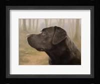 Profile Fine Art Print