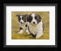 Racing Fine Art Print