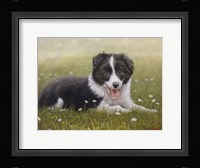 Summer Breeze Fine Art Print