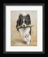 Catch Me if You Can Fine Art Print