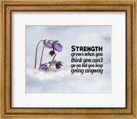 Strength Grows - Flowers in Snow Color Fine Art Print