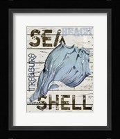 Blue Seashell Fine Art Print