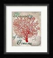 Bounty of our Oceans Fine Art Print