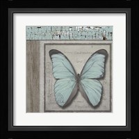 Butterfly Blue Fine Art Print