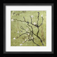 Cherry Tree I Fine Art Print