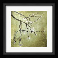 Cherry Tree II Fine Art Print