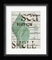 Green Seashell Fine Art Print
