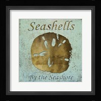 Seashells II Fine Art Print