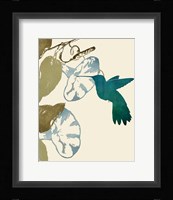 Hummingbird and Morning Glories Framed Print