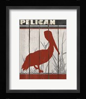 Pelican Framed Print