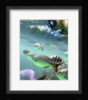 Snorkeling Fine Art Print