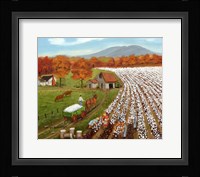 Cotton Field and Baker's Mtn Fine Art Print